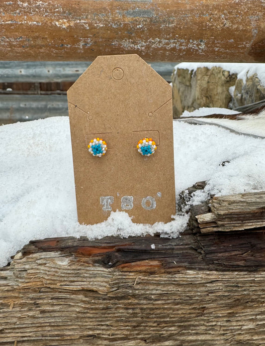 Wind River Canyon Earrings